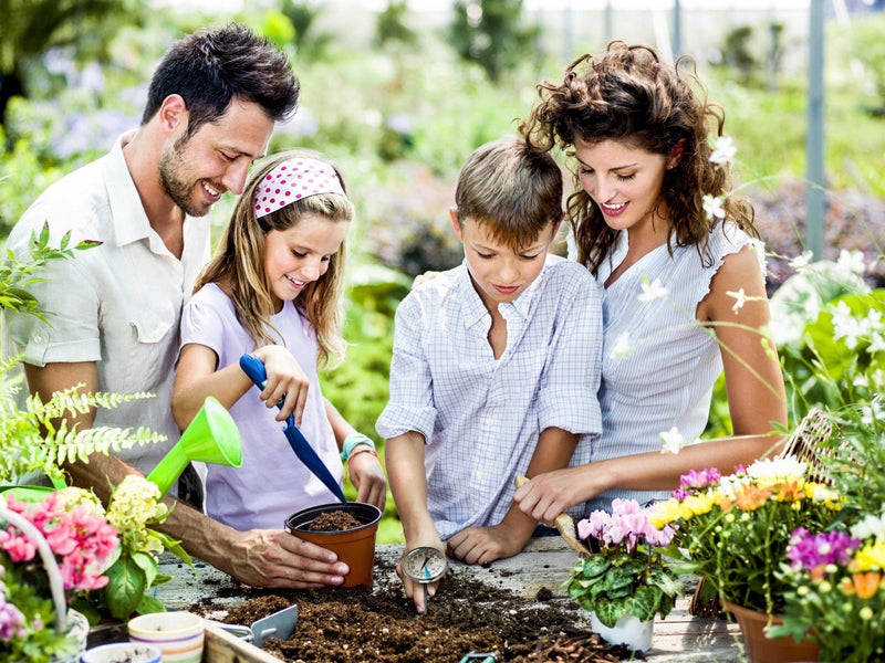 SmartChoice Stainless Steel Soil Thermometer by Smart Choice| 127mm Stem, Easy-to-Read 1.5â€ Dial Display, 0-220 Degrees Fahrenheit Range | Soil Temperature Thermometer for Ground, Compost, Garden Soil - Image 5